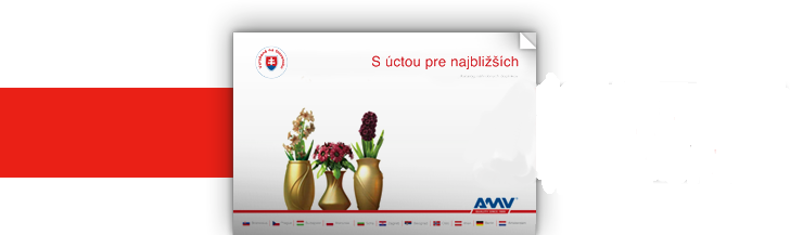 AMV Katalog 2012